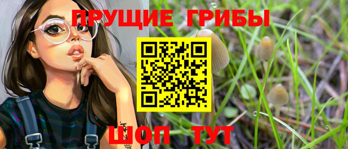 Дзержинск  Галлюциногенные грибы прущие грибы  Псилоцибиновые грибы GOLDEN TEACHER  Вход с VPN 