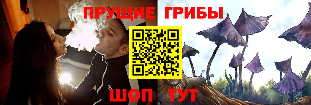 Псилоцибиновые грибы прущие грибы Дзержинск